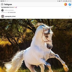 Meet your Posher, Lorena